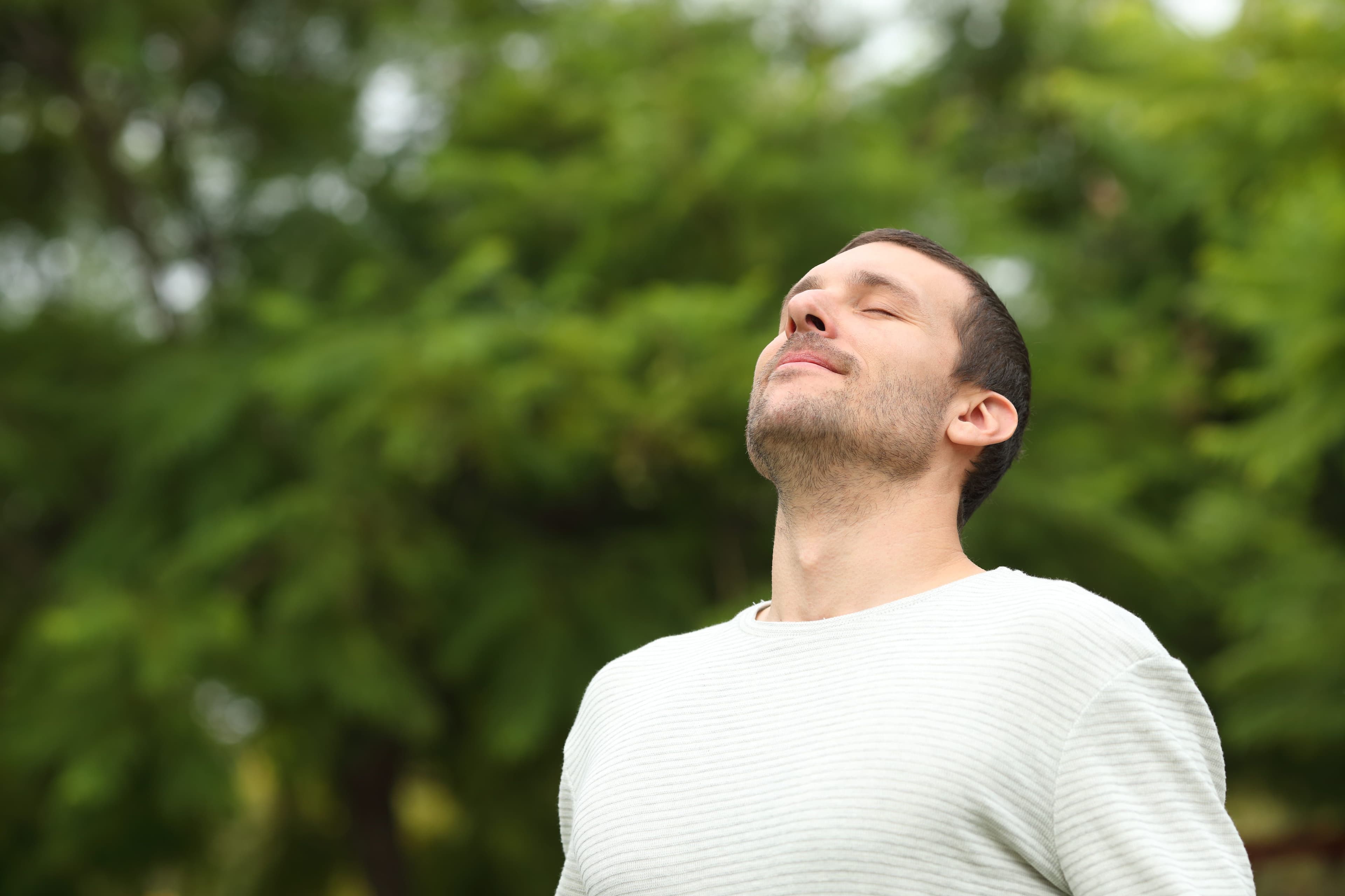 E Vitamininin Faydaları ve Besin Kaynakları