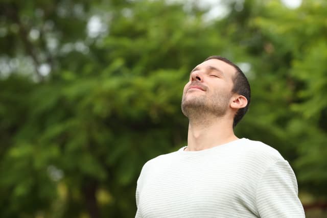 E Vitamininin Faydaları ve Besin Kaynakları
