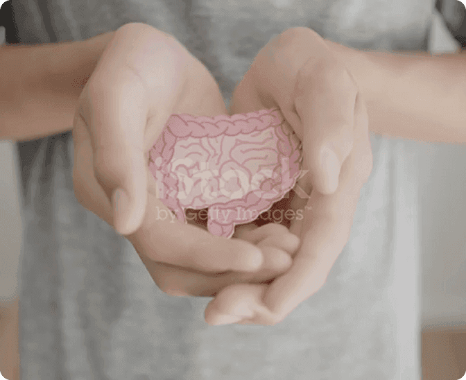 Banner Content